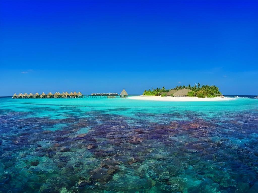 Angaga Island Resort And Spa Esterno foto